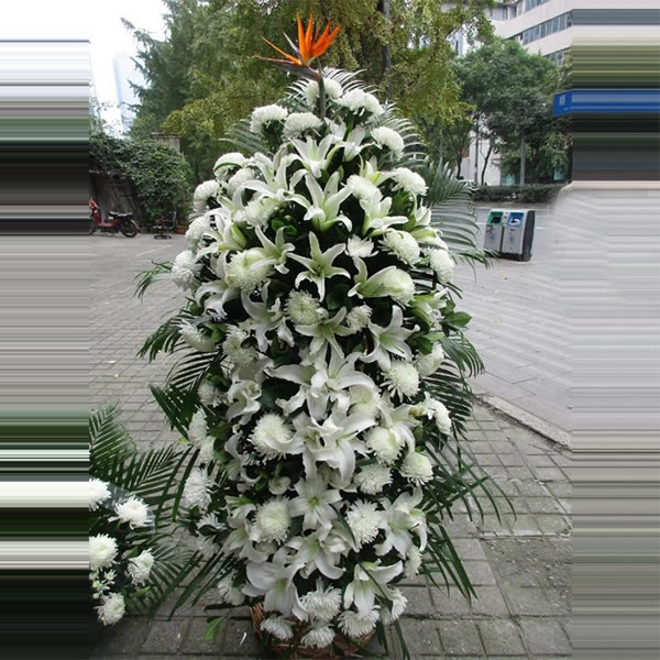 ʡr-׃